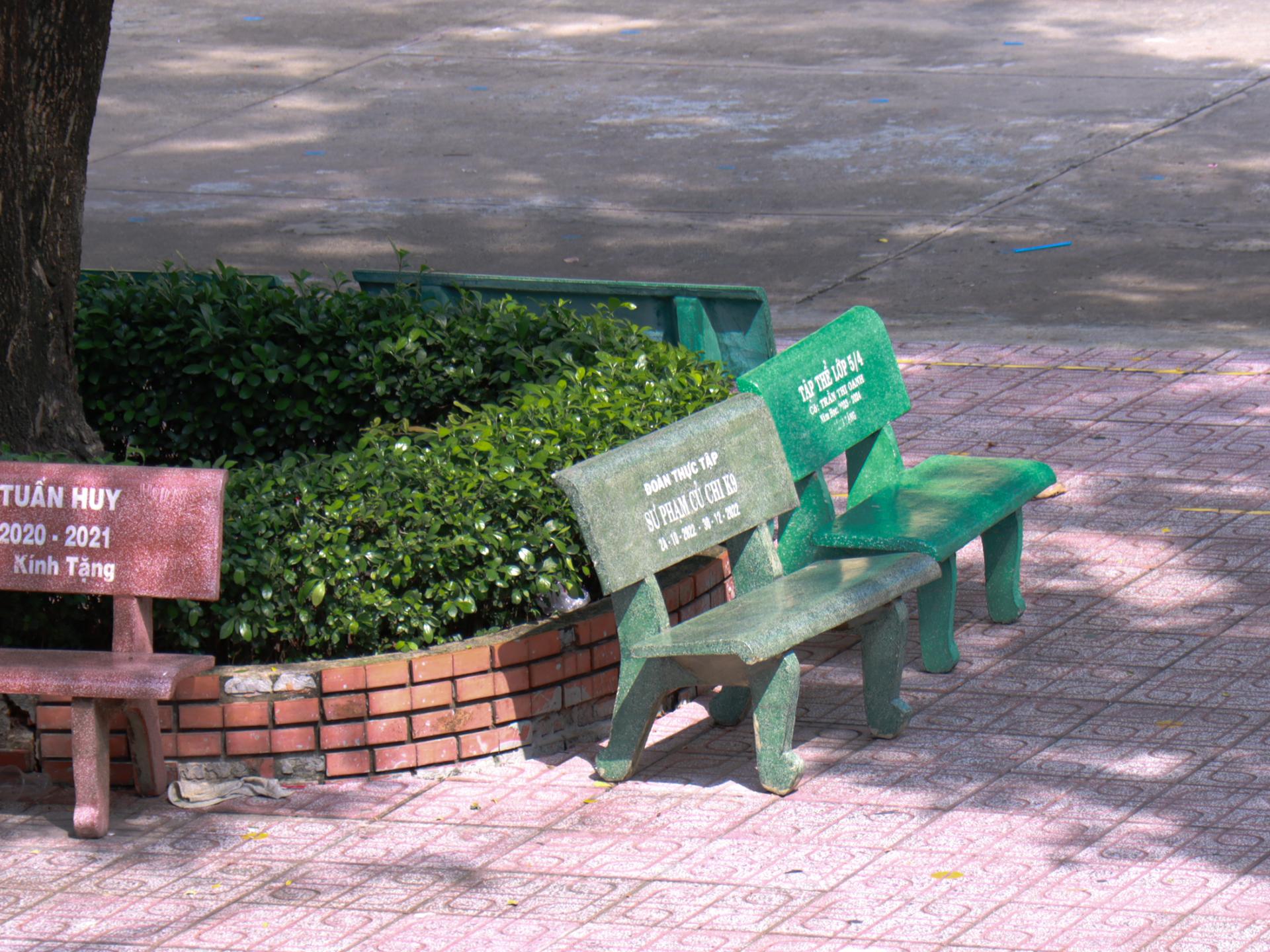 Dưới Tán Cây Trường